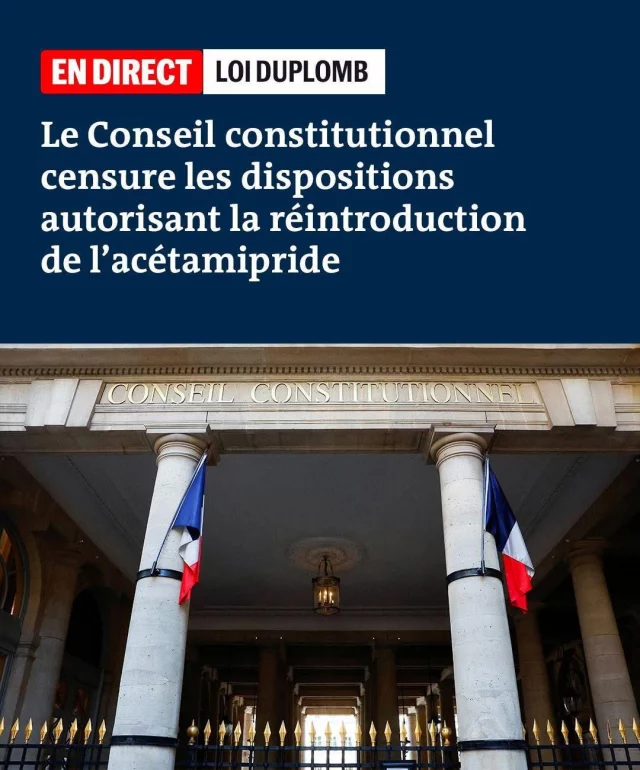 #LoiDuplomb : le Conseil constitutionnel censure la réintroduction de l’acétamipride ! 

Une bonne nouvelle pour l’environnement et la santé publique, même s’il reste des dispositions problématiques dans la Loi.